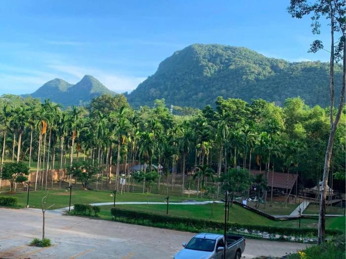 Paiwan Lamtarn Camp Phatthalung ไผ่หวานลำธารแคมป์ พัทลุง