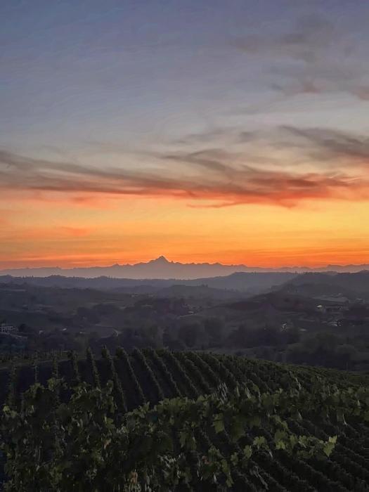 Agriturismo Tenuta ENA
