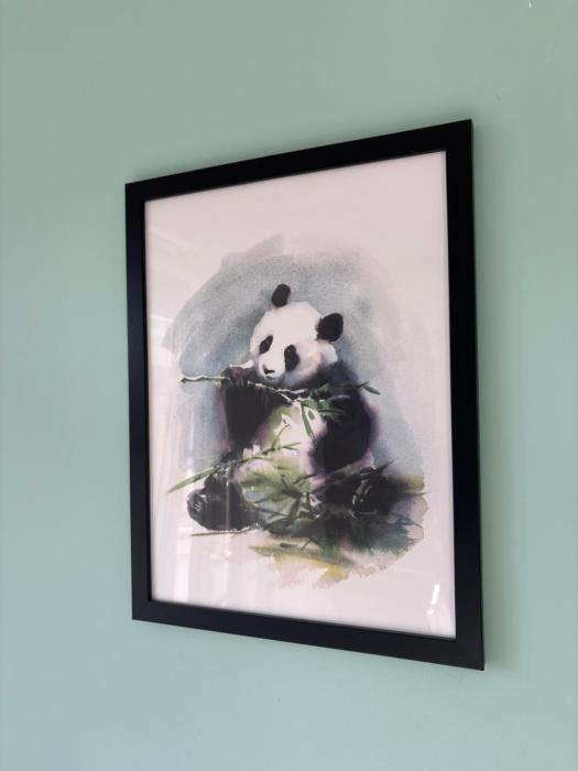 Panda Apartment Plac Solny 4 z klimatyzacją