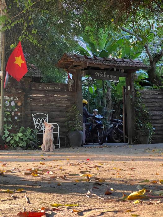 mehome Hidden Garden Homestay