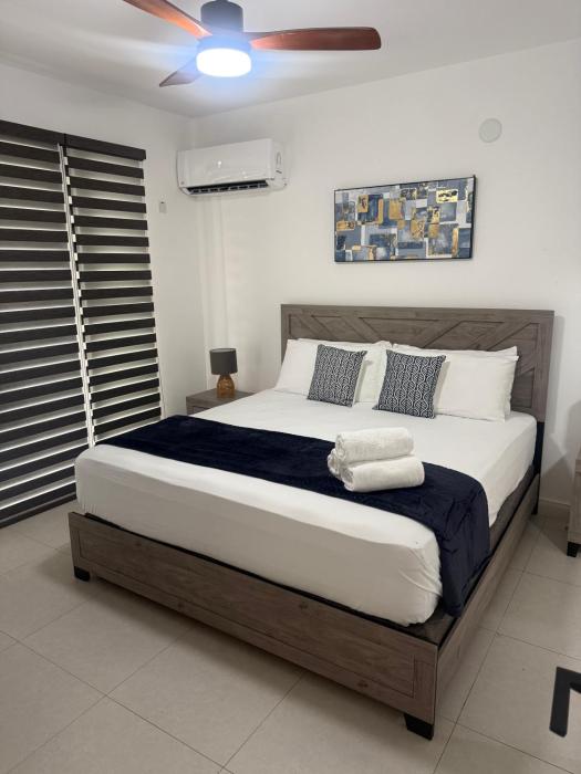 Luxury Apartment in Kingston