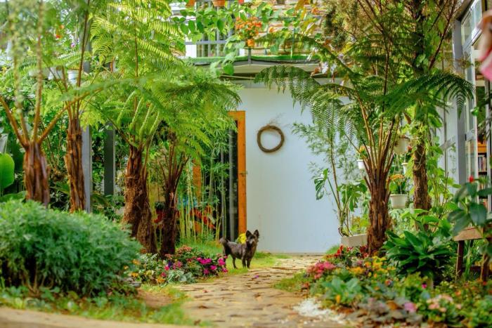 Swing home da lat