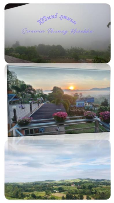 สิรีรินทร์ ภูหมอก