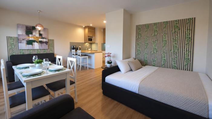 435 - Apartament Zakopiański - Jacuzzi & Sauna & Siłownia & Plac Zabaw