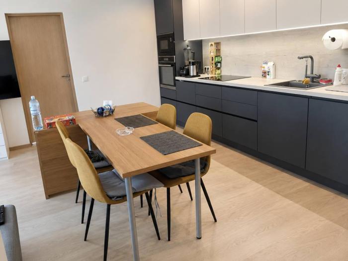 Brand-new quiet flat near Kadriorg, Song Festival
