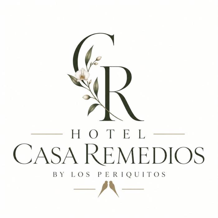 Hotel Casa Remedios by Los Periquitos
