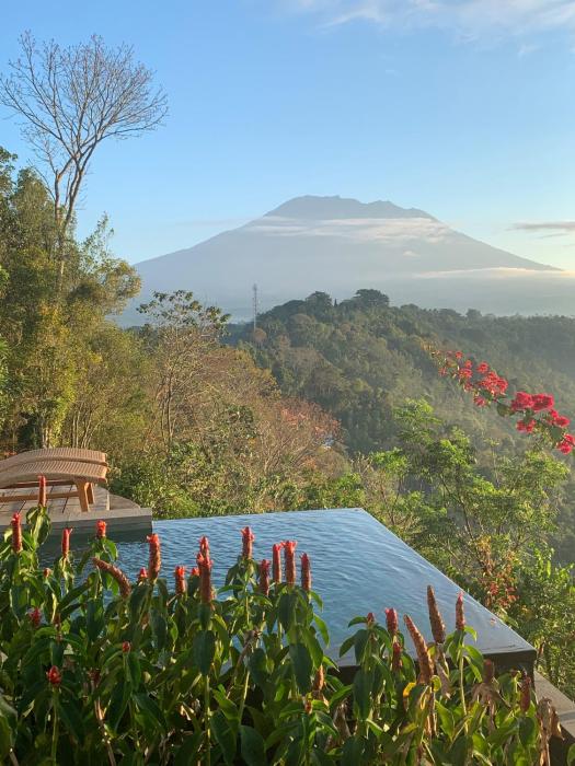 Villa Damai Rohani Private Pool Villas with Valley Views Adults Only