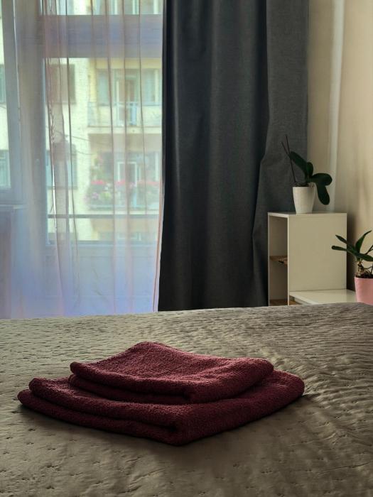 Apartment 23