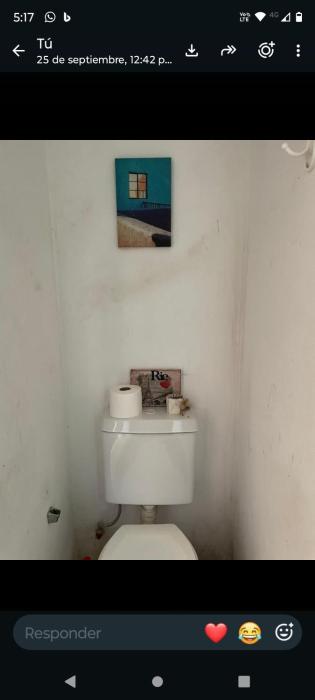 Descanso de la fe león XIV