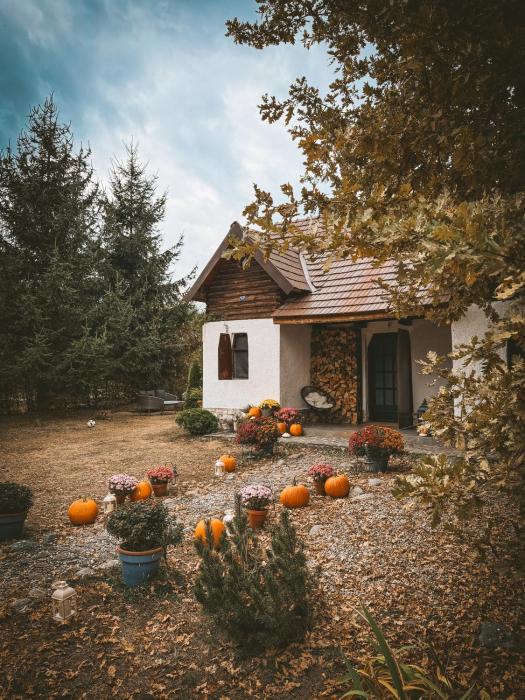 Cuib din Fagaras