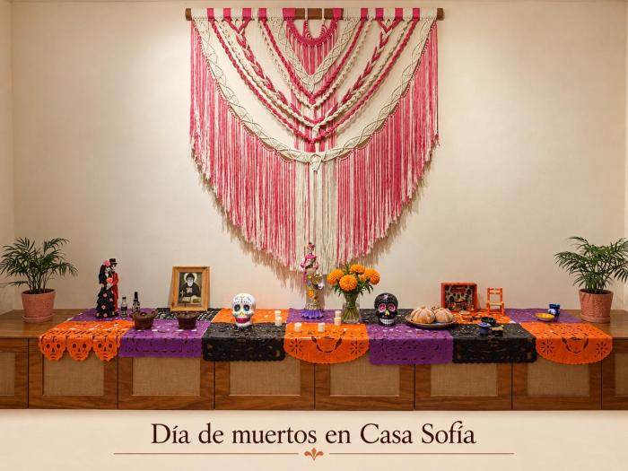 Casa Sofía Centro