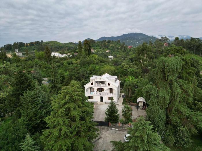 Chakvi Citrus Villa