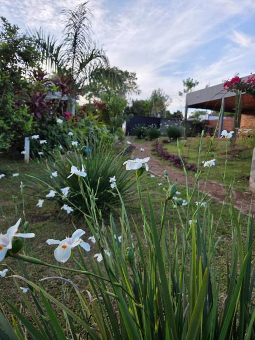 Las Lechuzas Hospedaje