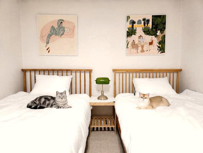 Seoul Homestay with Dog & Cat