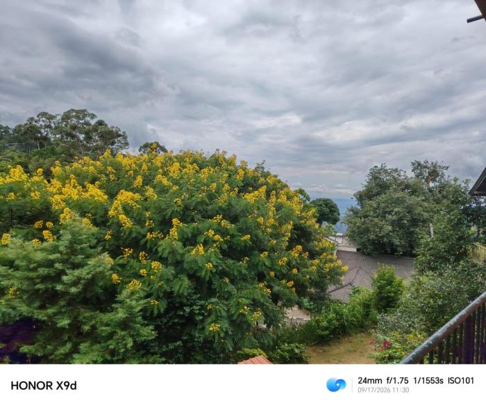 Nature Mount View