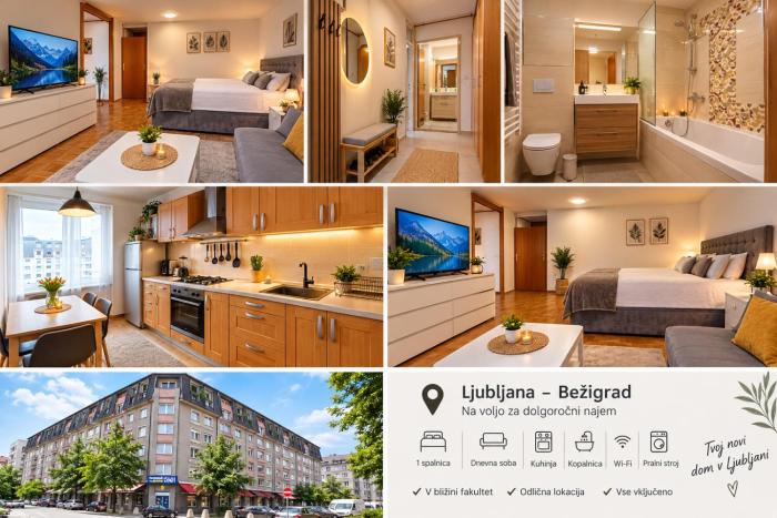 Oferta noclegów 17459048