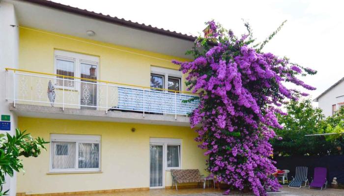 Apartments in Pula - Istrien 11306