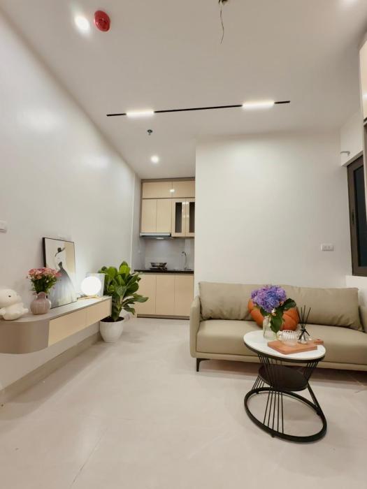 Th Luxury Home