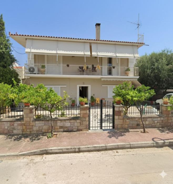 Twin Orange Trees House