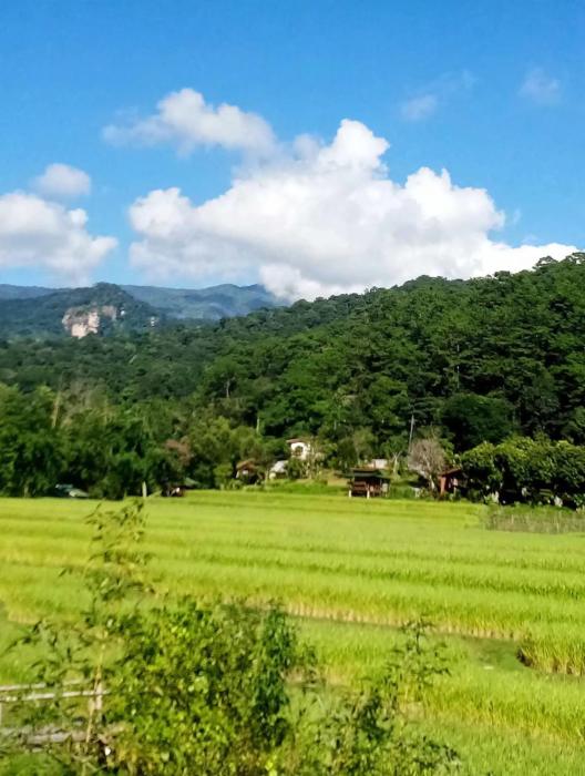 Pink pu coffee homestay พิงค์ภูโฮมสเตย์