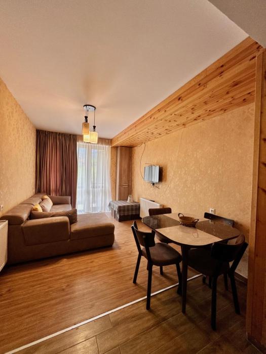 Haystack Bakuriani Apartment 25