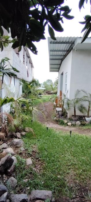 Casa Alicia 502