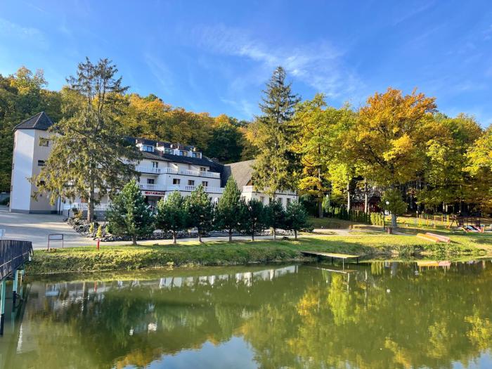 Hotel Carina - noclegi z dostępem do restauracji i strefy SPA w hotelu Gorzelanny, odległość 100m