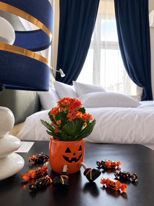 BedRooms Piotrkowska 64