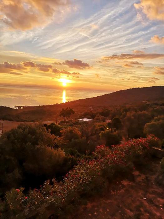 Sea view mastiha grove suites KALLISTO NEFELI