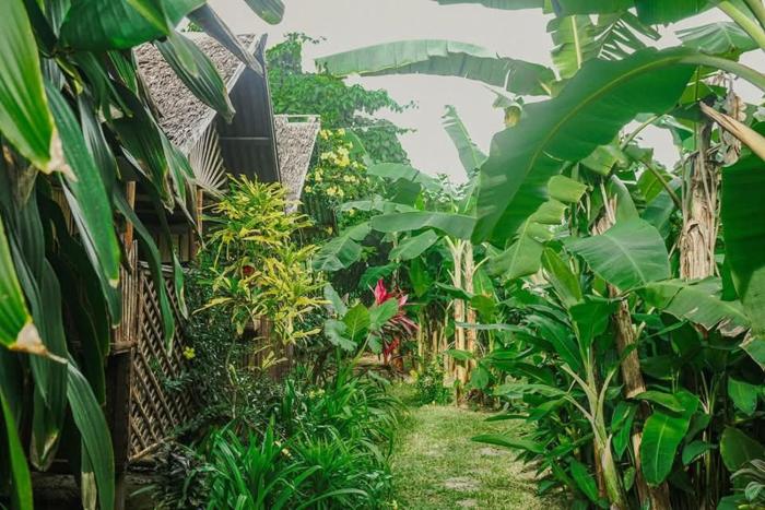 Banana Grove Travellers Inn