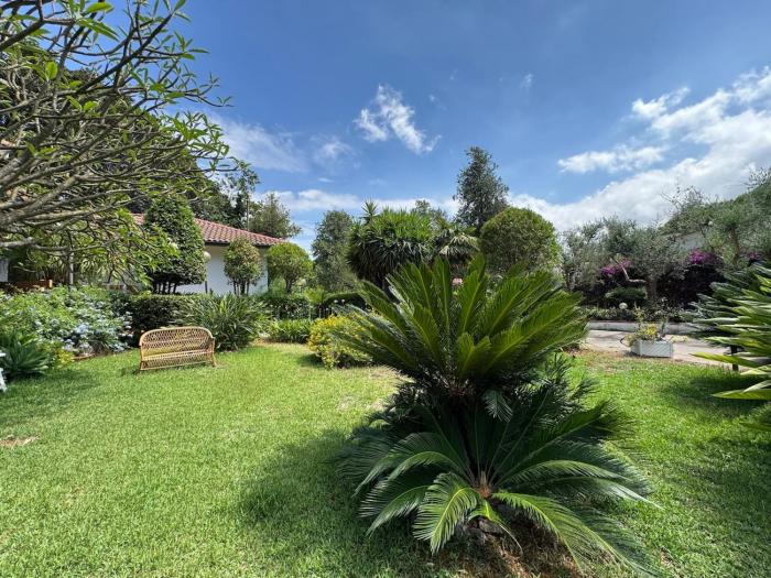 Pomelia Garden - Relax & Nature