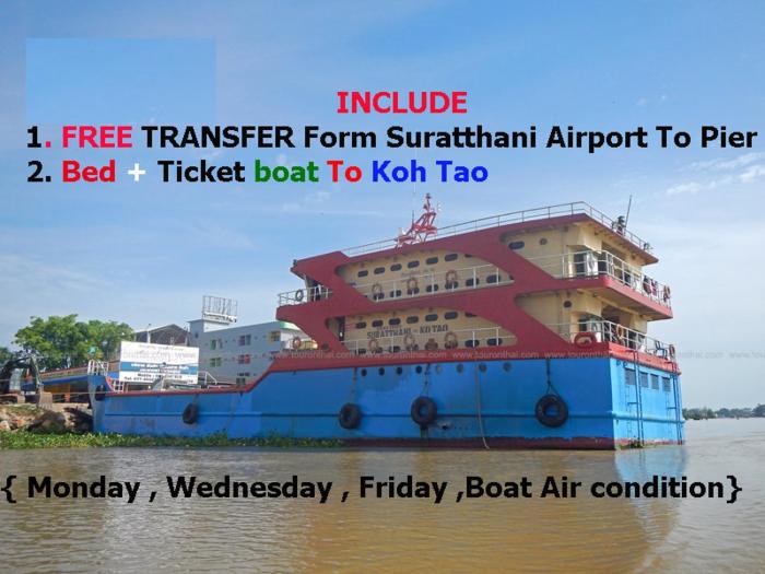 Suratthani Airport TJ Night Boat To Koh Tao