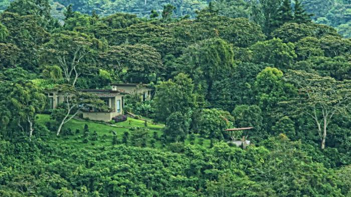 The Guest Suites at Manana Madera