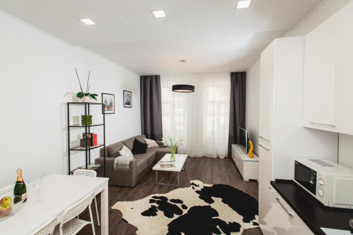 Апартаменти біля Оперного Театру