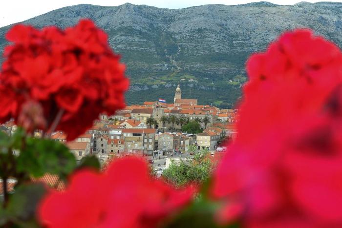 Accommodation Drasko