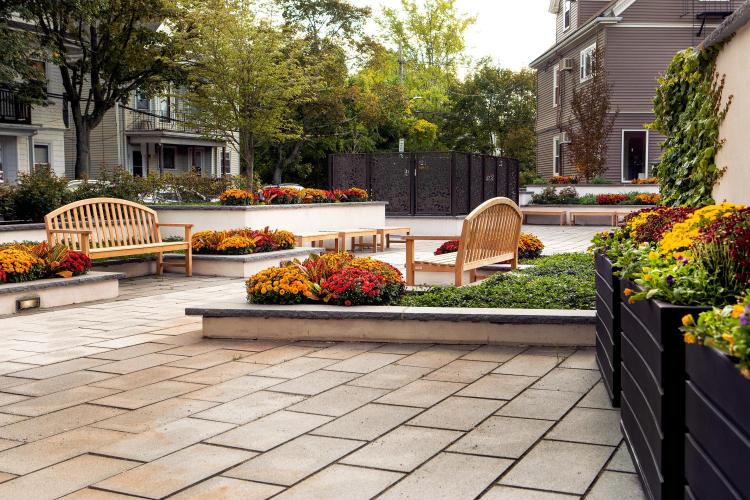 Porter Square Hotel Review, Boston, United States Travel