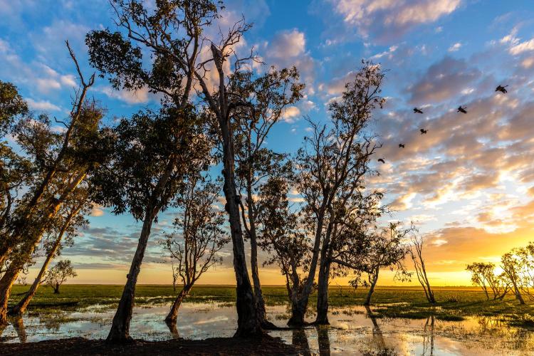 Mary River Floodplain, Kakadu, Northern Territory, Australia.
