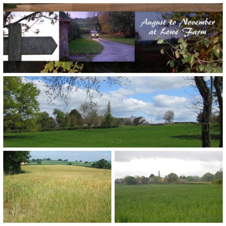 Lowe Farm Bed & Breakfast Hotel Review, Herefordshire, England