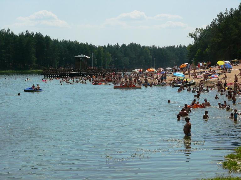 Agroturystyka Pod Brzozami - Bed and Breakfast Susiec