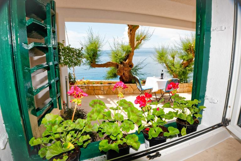 Studio Apartman Papić - Chambres d'hôtes Drašnice