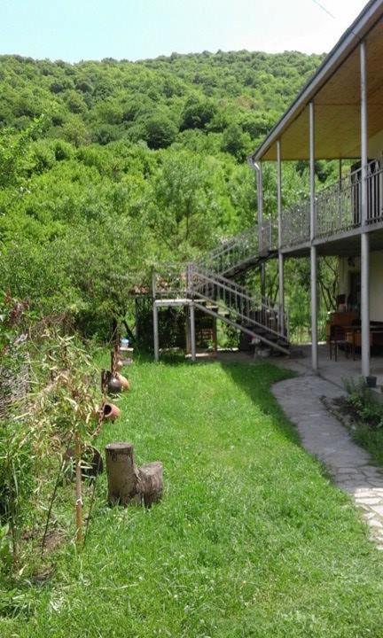 Marine's Guest House - B&B Ananuri