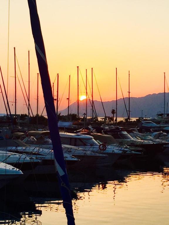 Villa Iris Apartments - Bed and Breakfast Seget Vranjica