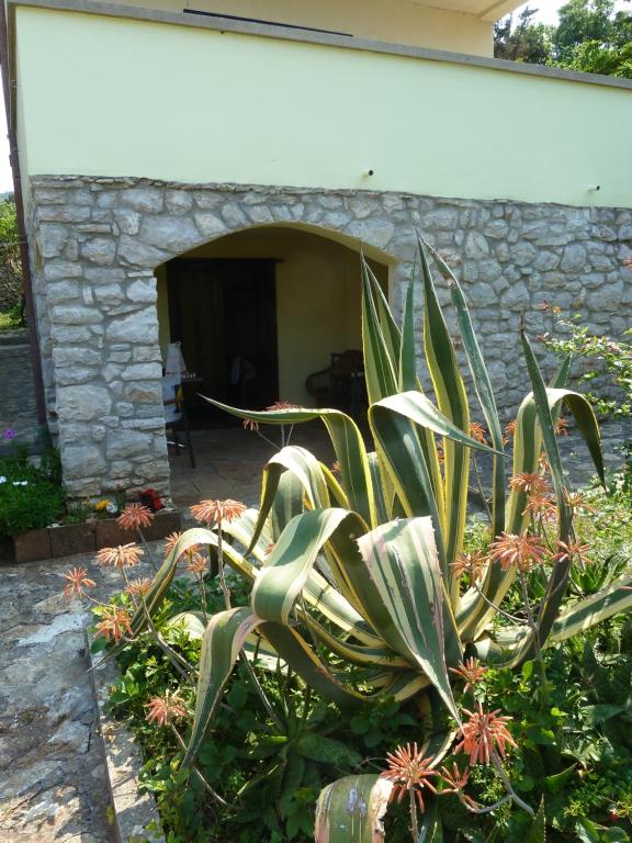 Apartment Nada - B&B Veli Losinj