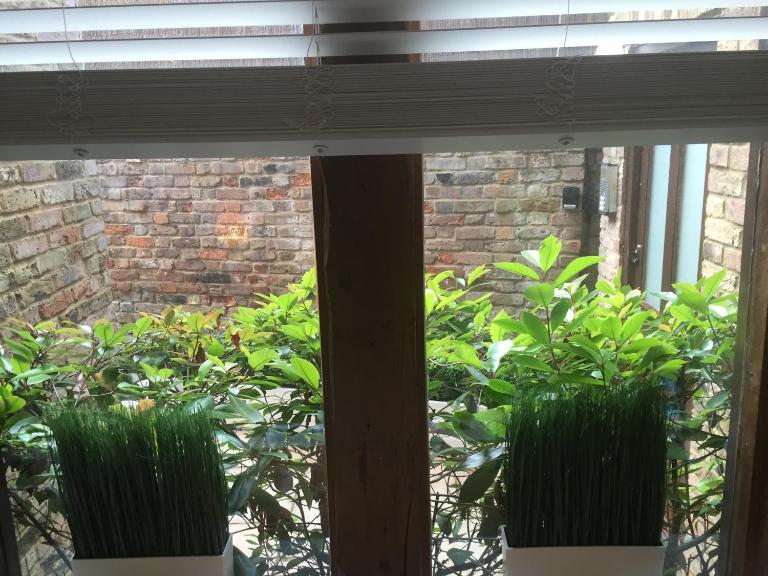 Harpenden House - B&B Harpenden