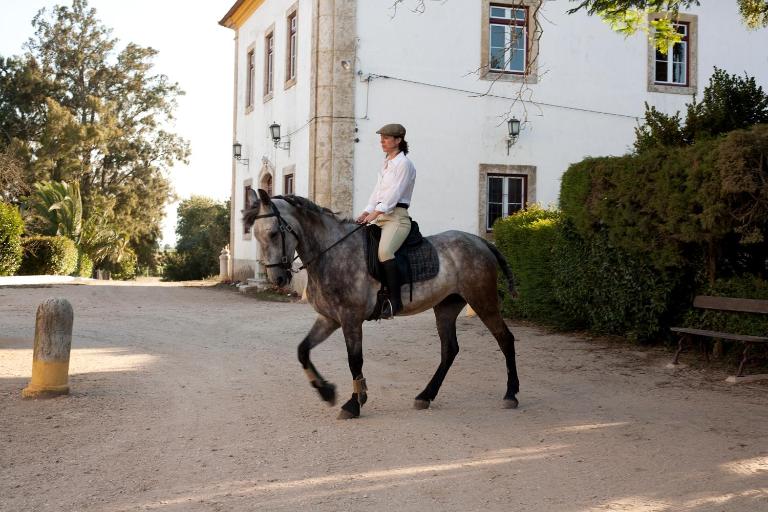 Quinta dos Álamos Agroturismo - Ferienwohnung Golegã