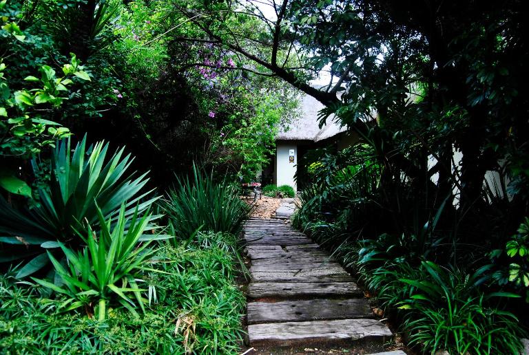 Birch Tree Cottage - B&B Johannesburg