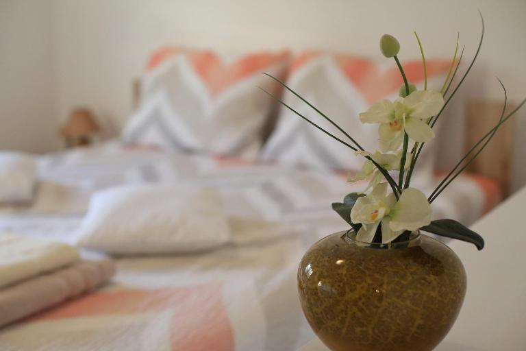 Apartment Palma - B&B Bibinje