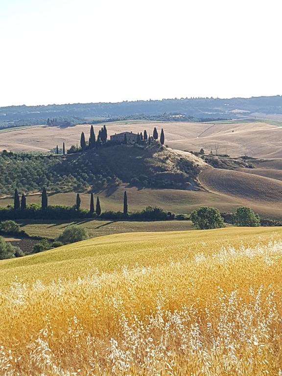 Apartment La Scala 1572 - B&B San Quirico d'Orcia