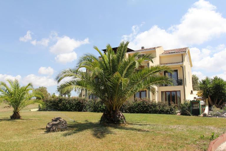 Palmas Dorada Home - B&B Olmedo