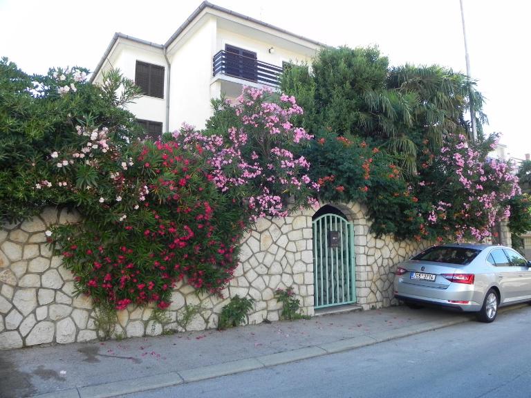 Apartments Katalenić - B&B Selce
